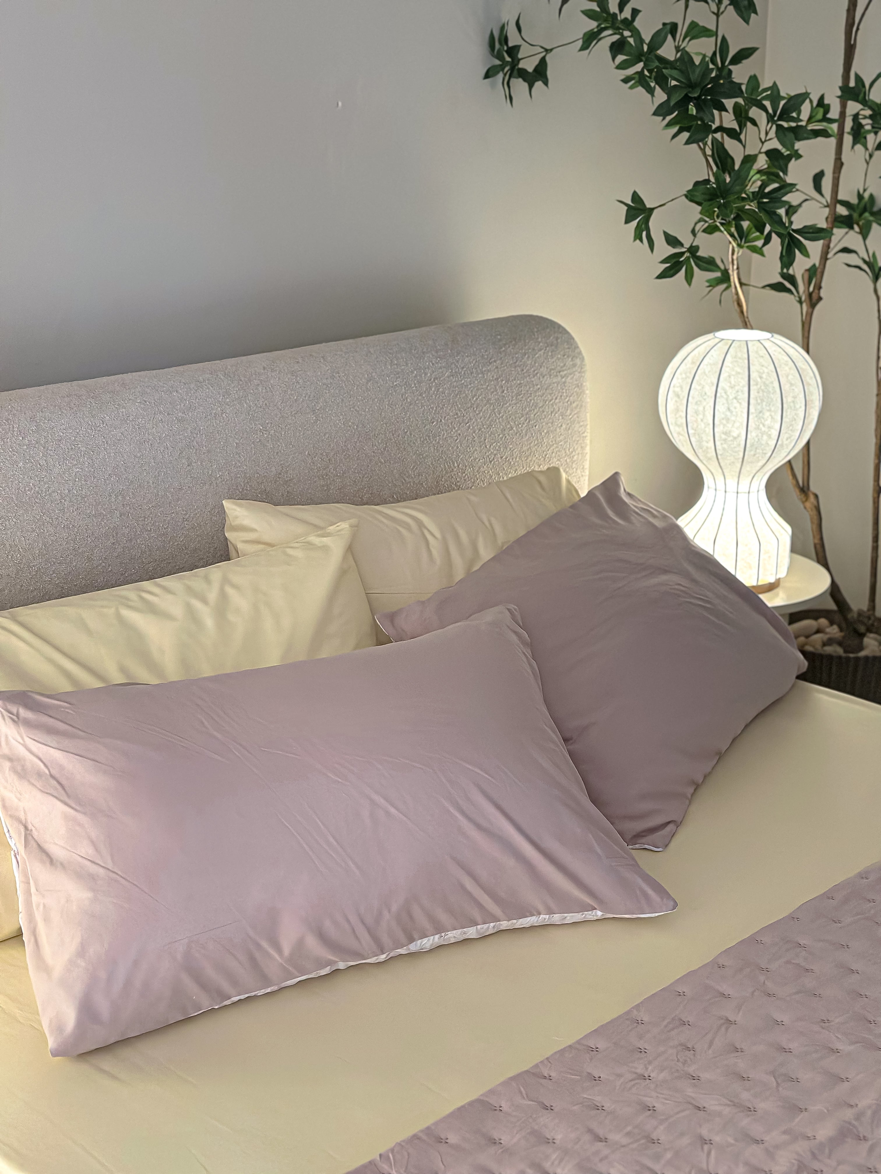 Tencel Bedspread Set