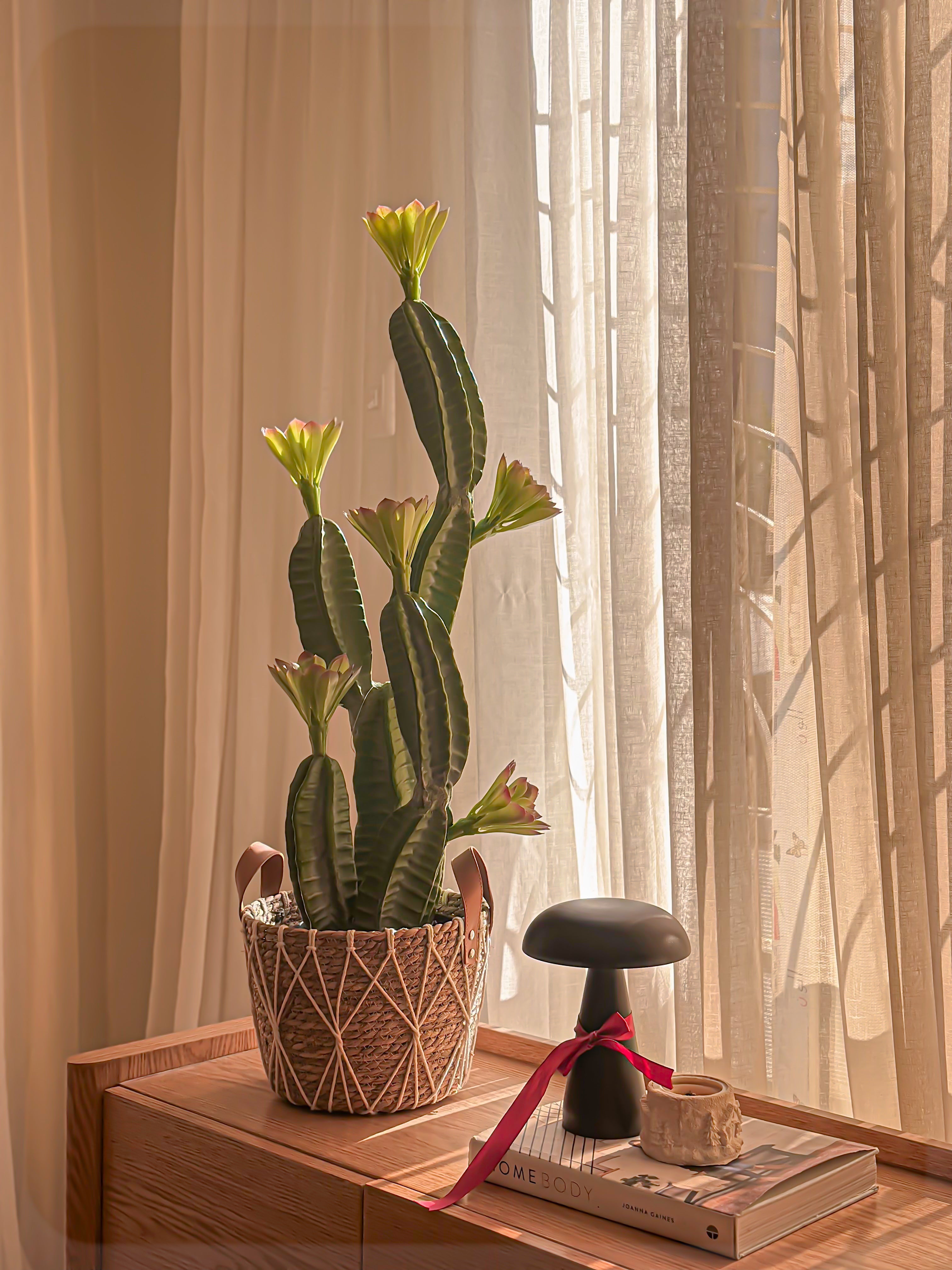 Cactus Spikes Faux Plant