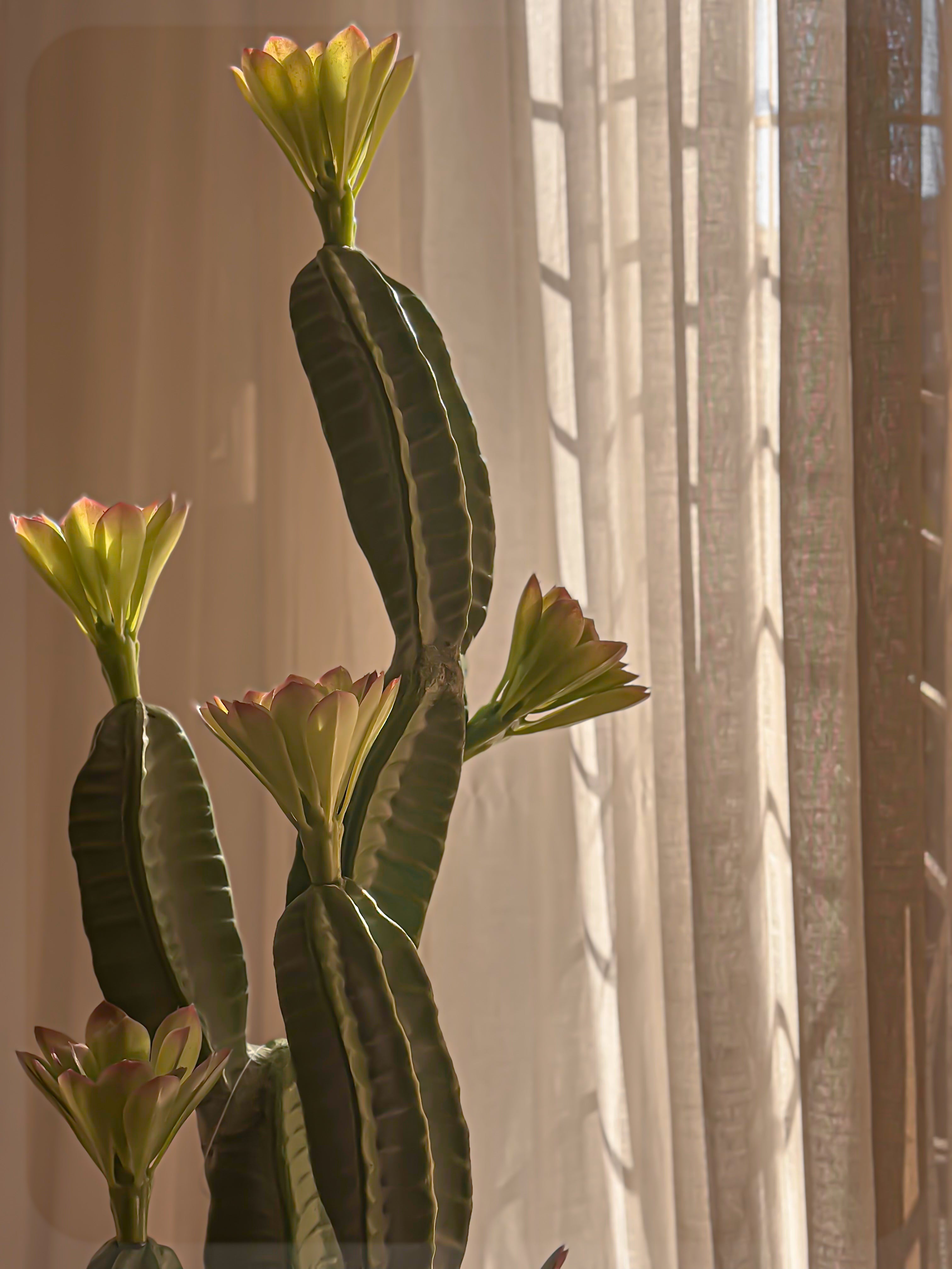 Cactus Spikes Faux Plant