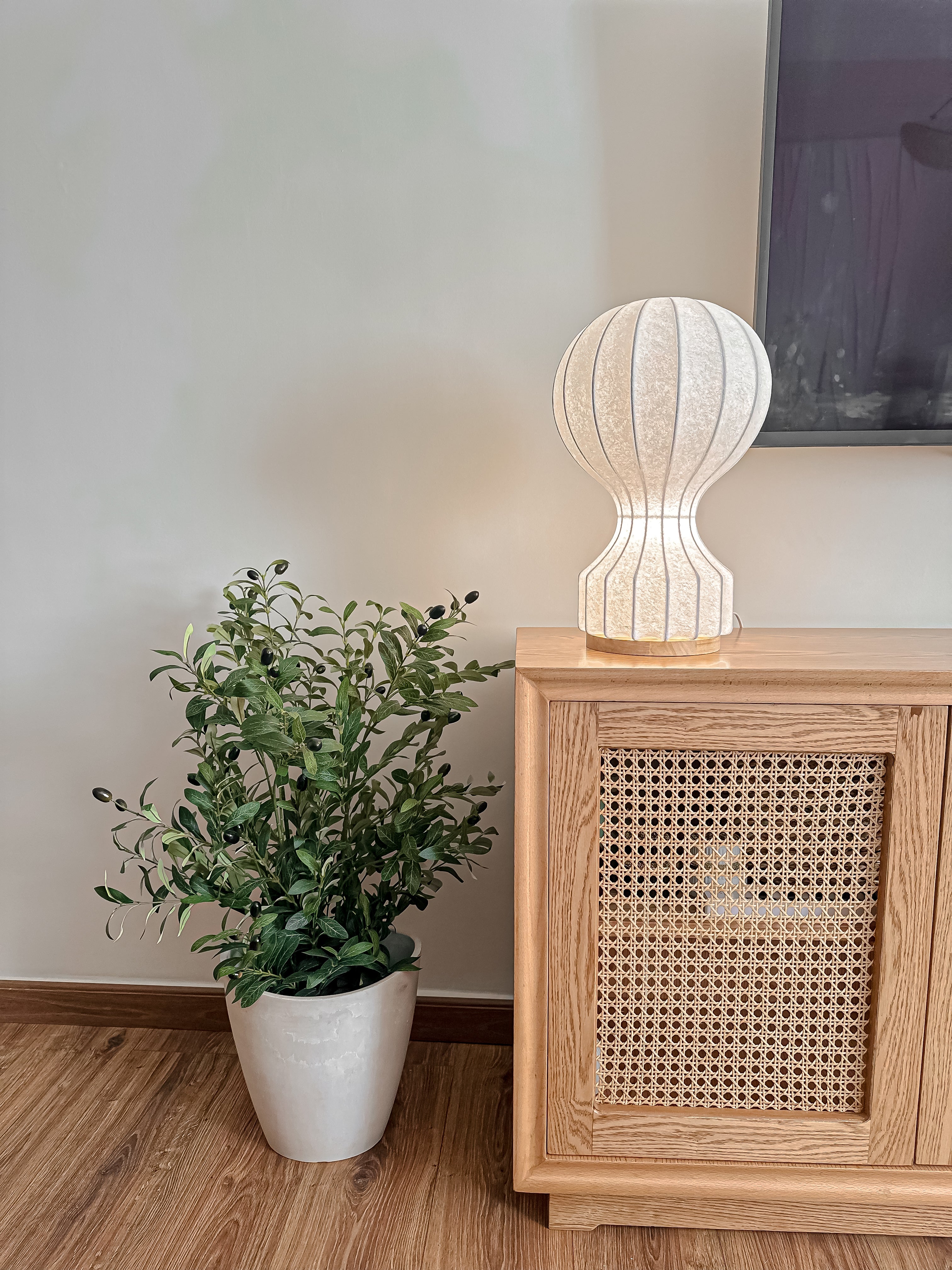 Mini Olive Tree