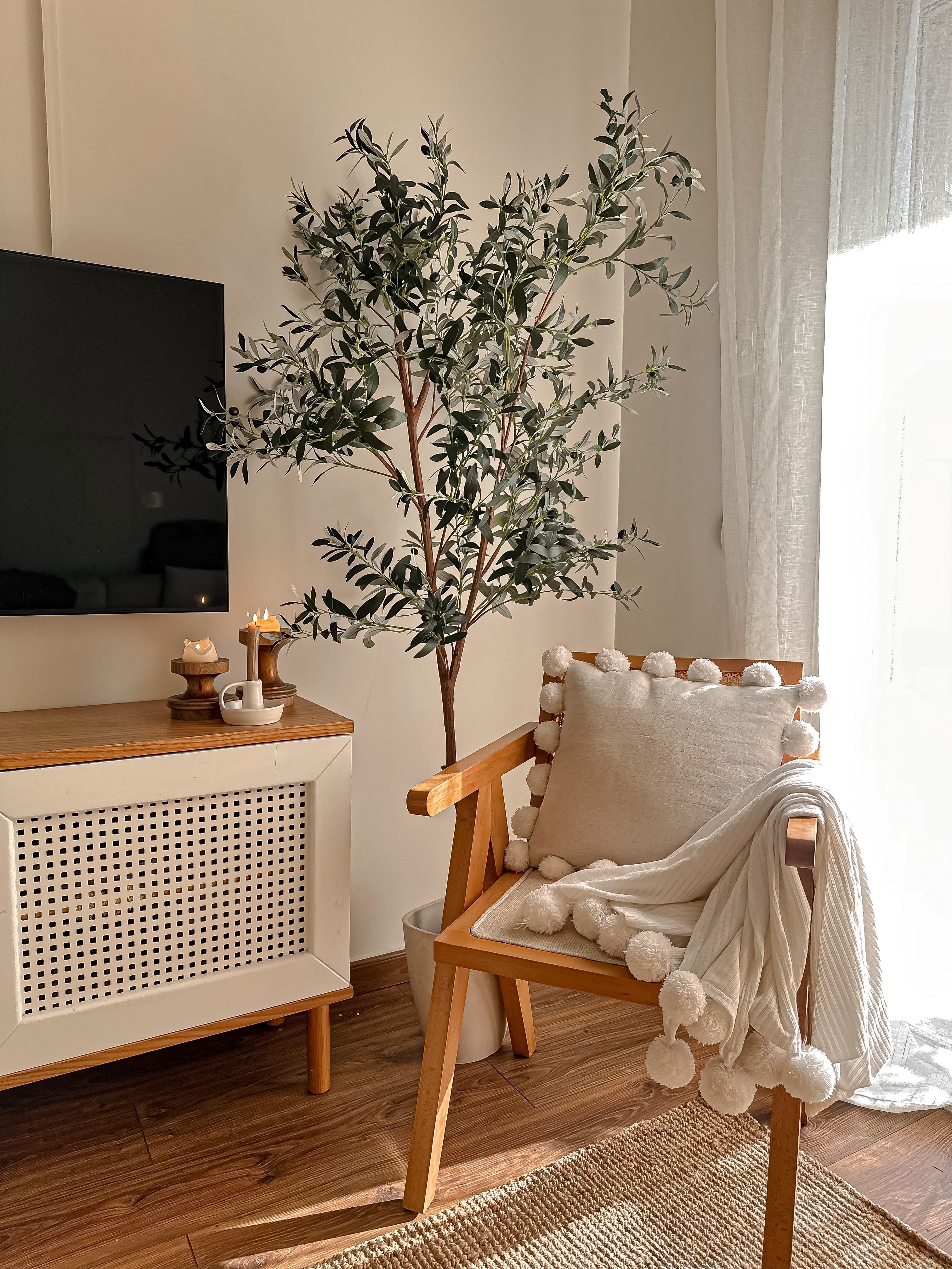 Olive tree one steam