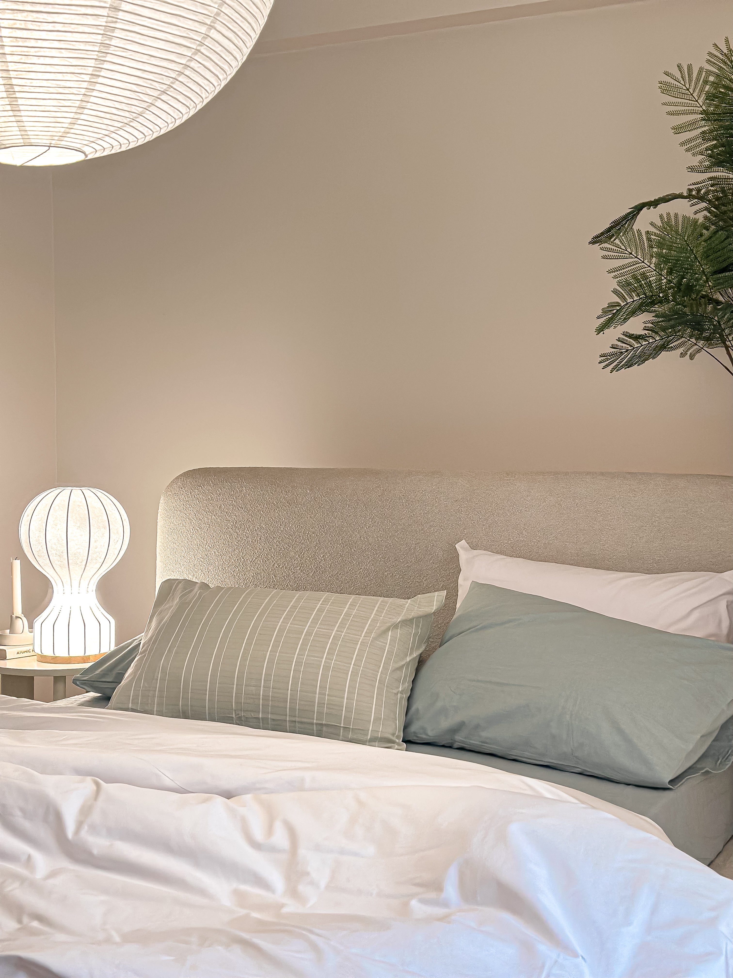 Prime Cotton Sheet Set - light green