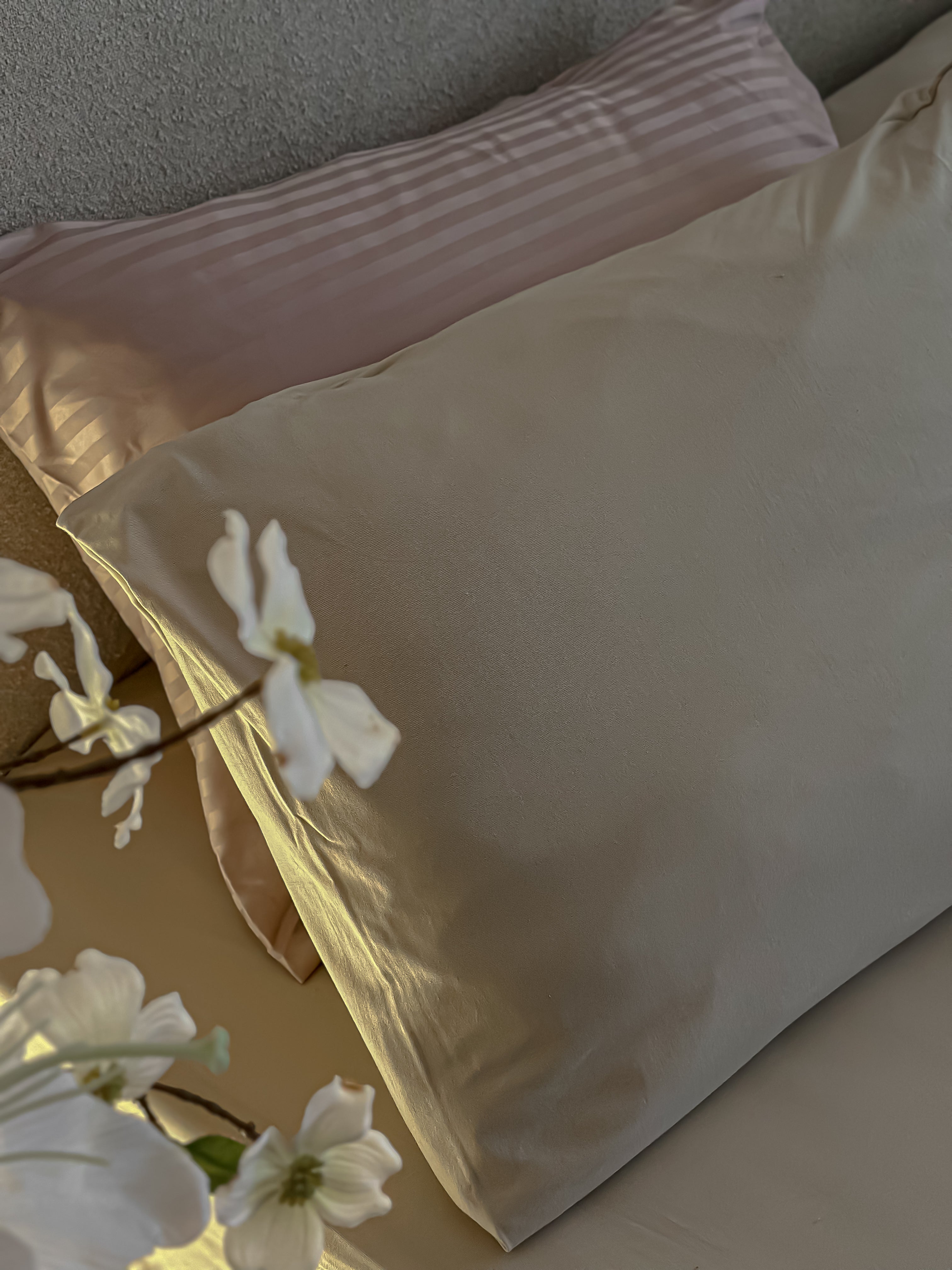 Jersey Cotton Fitted Sheet Set - beige