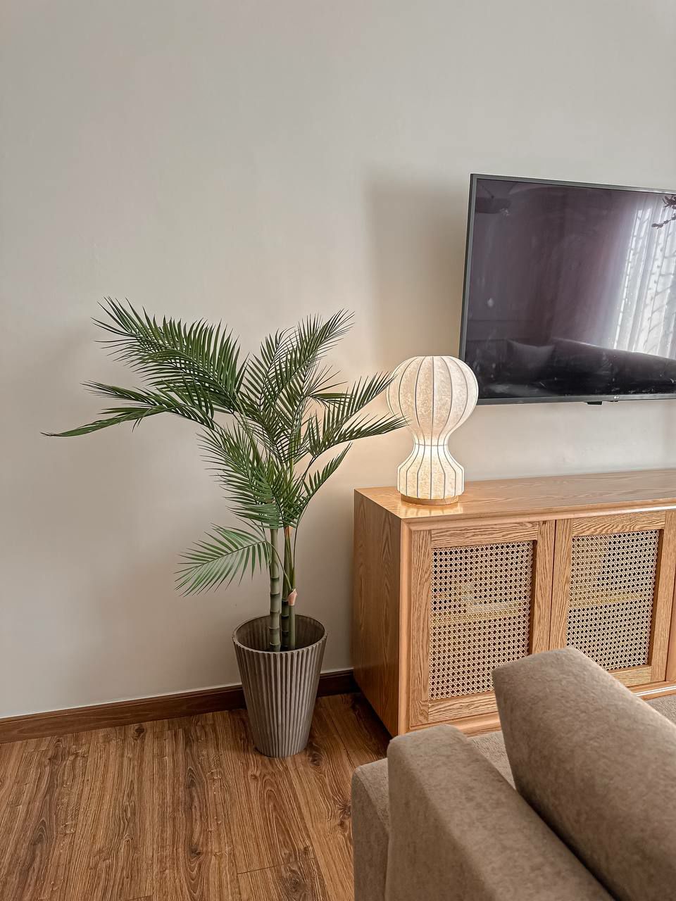 ARECA Palm Tree
