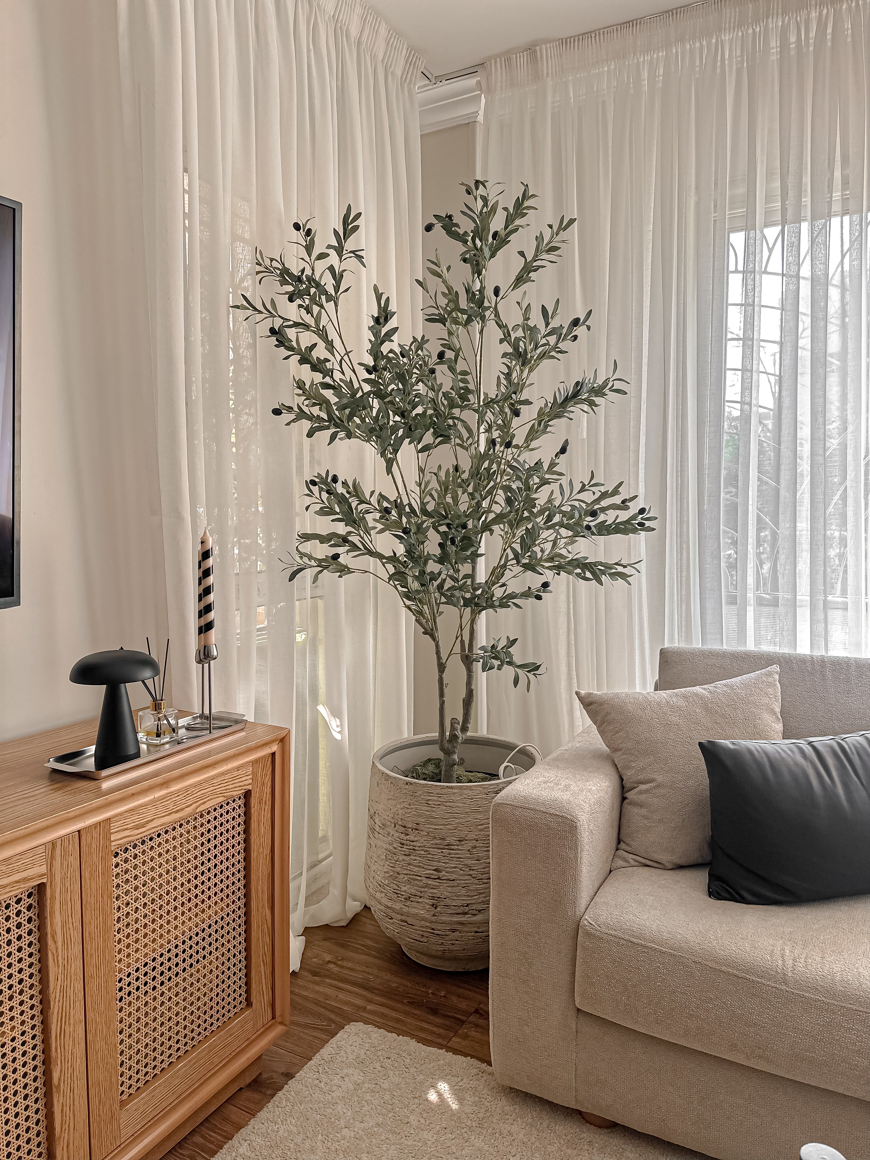 Olive Tree – 180 cm