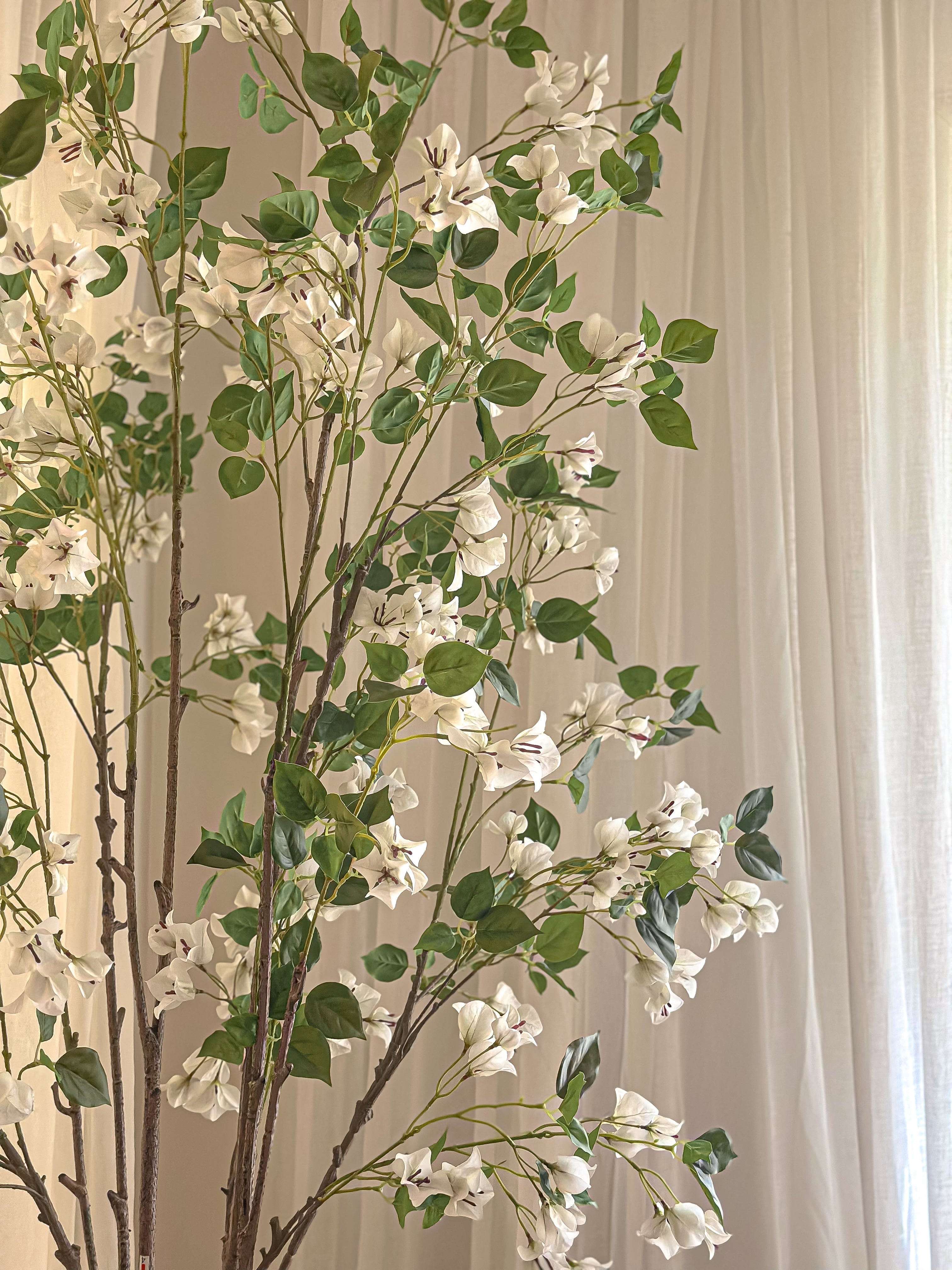 White Cherry Blossom Tree