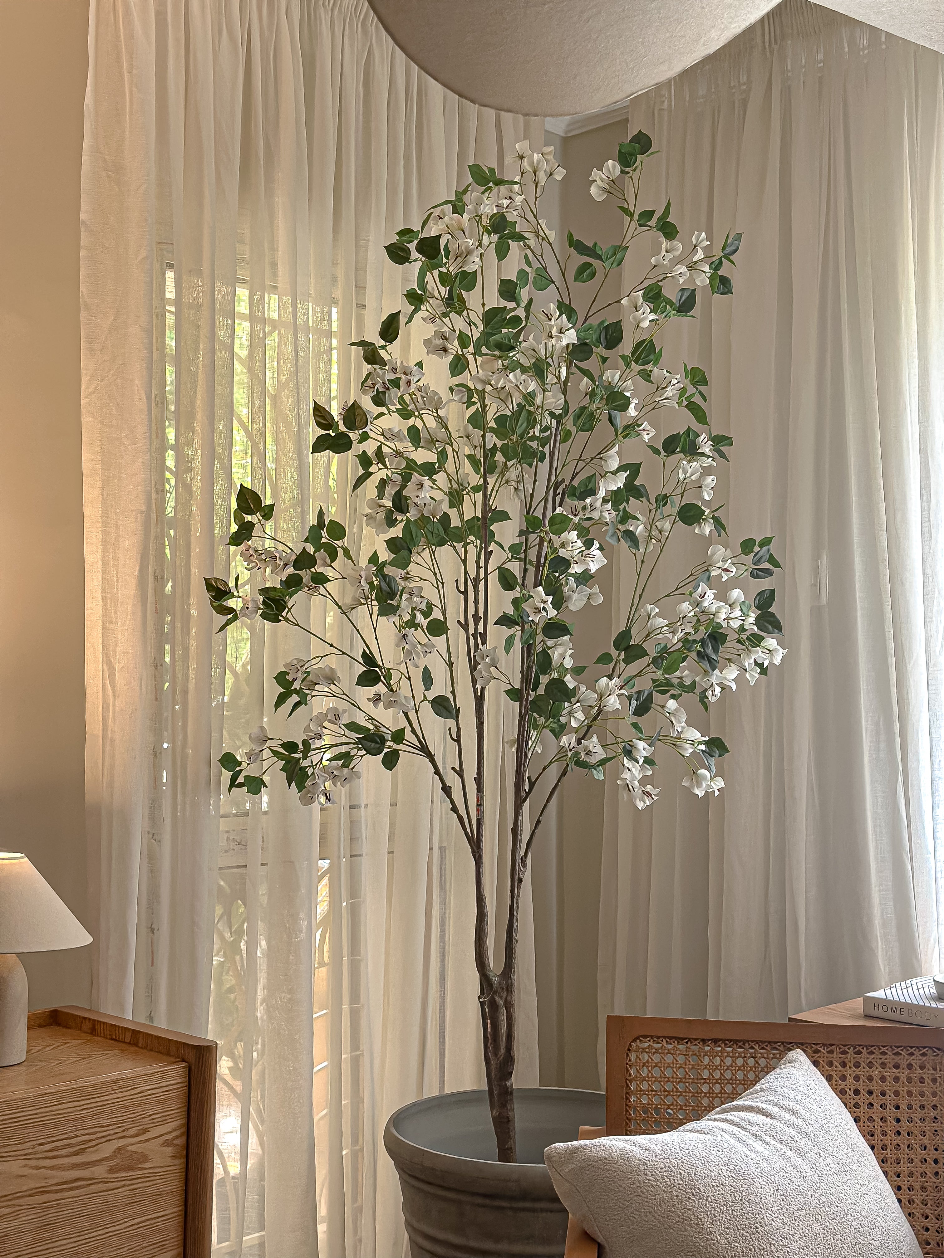 White Cherry Blossom Tree