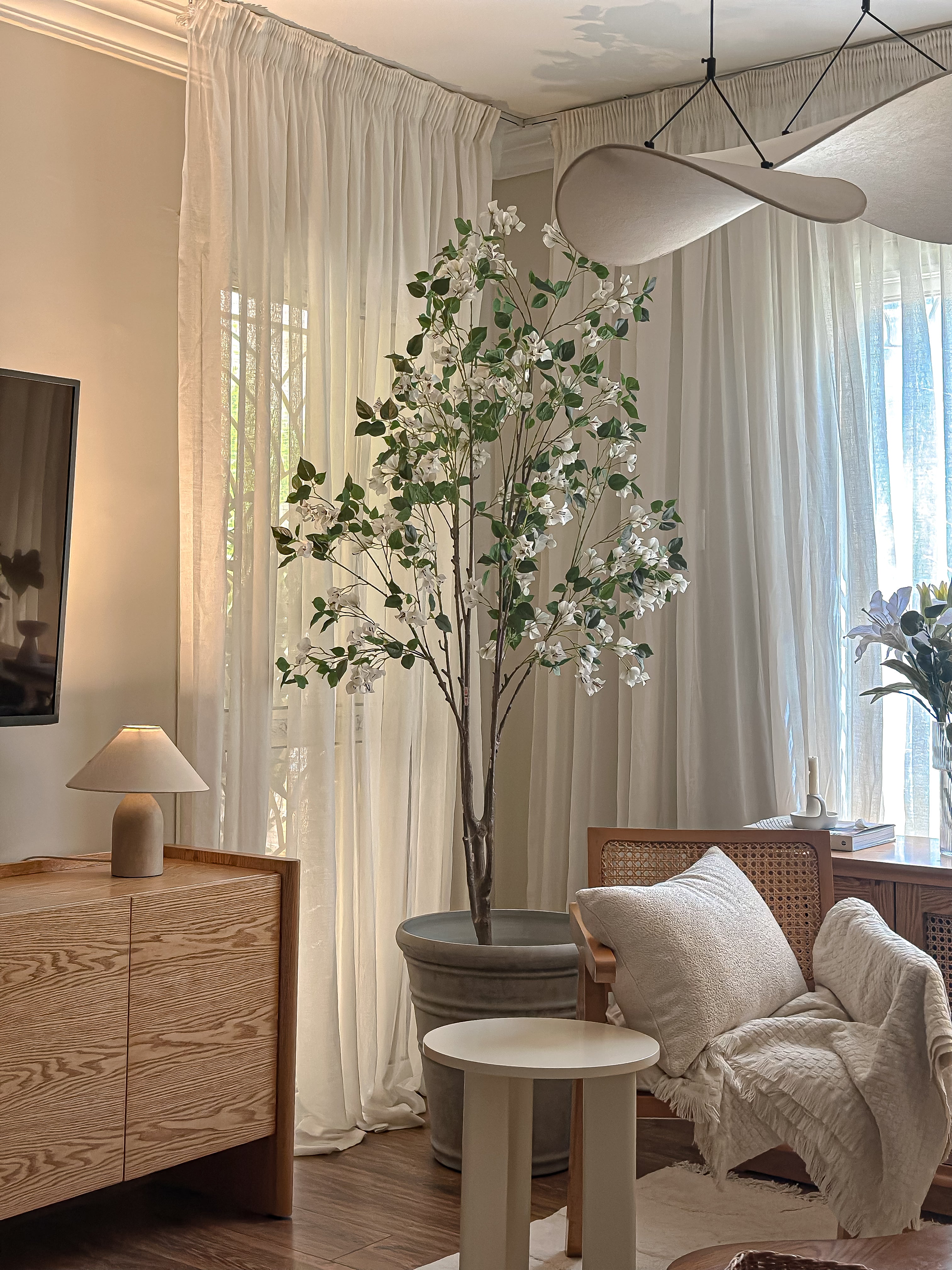 White Cherry Blossom Tree