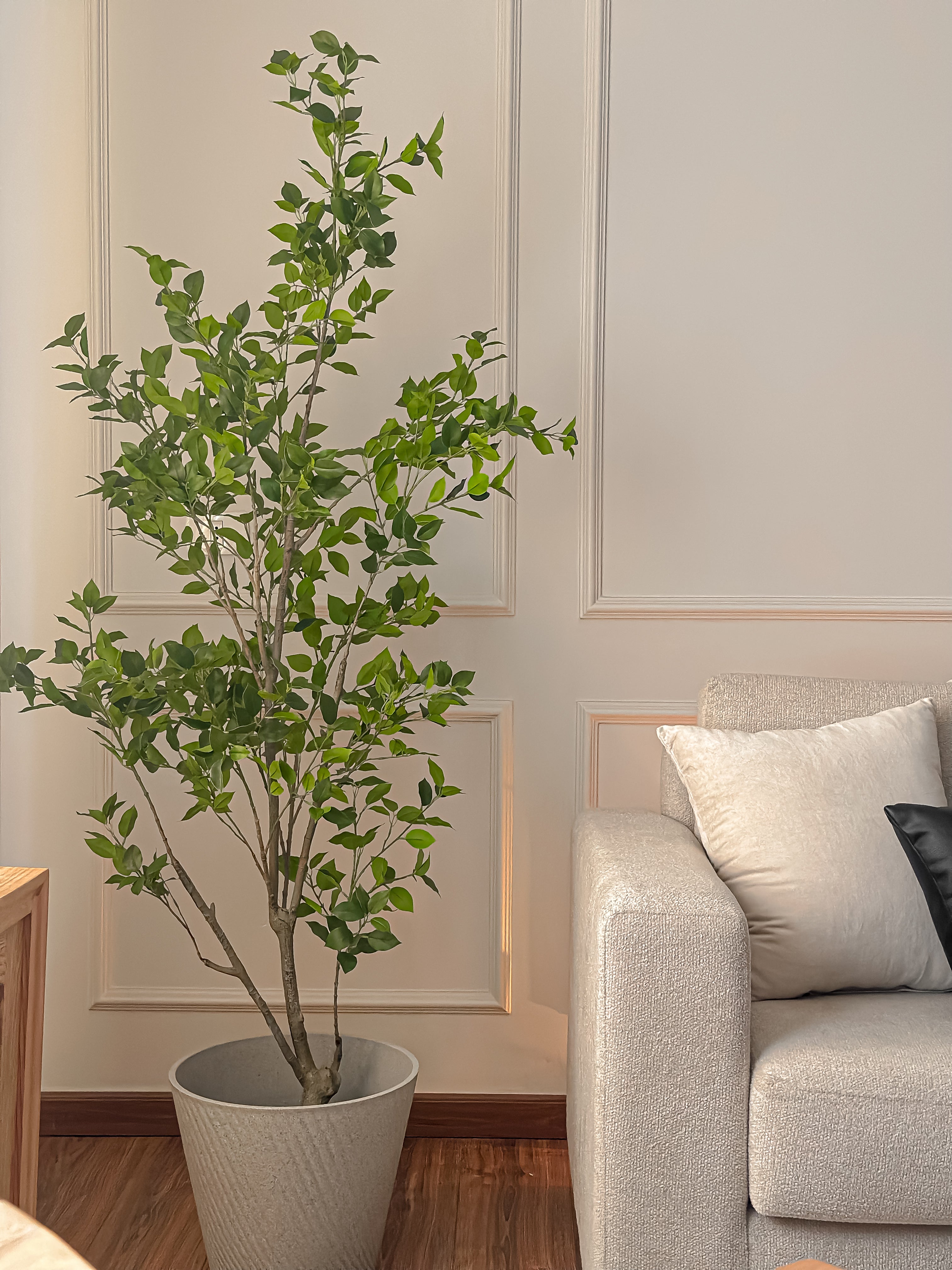 Benjamina Faux Tree
