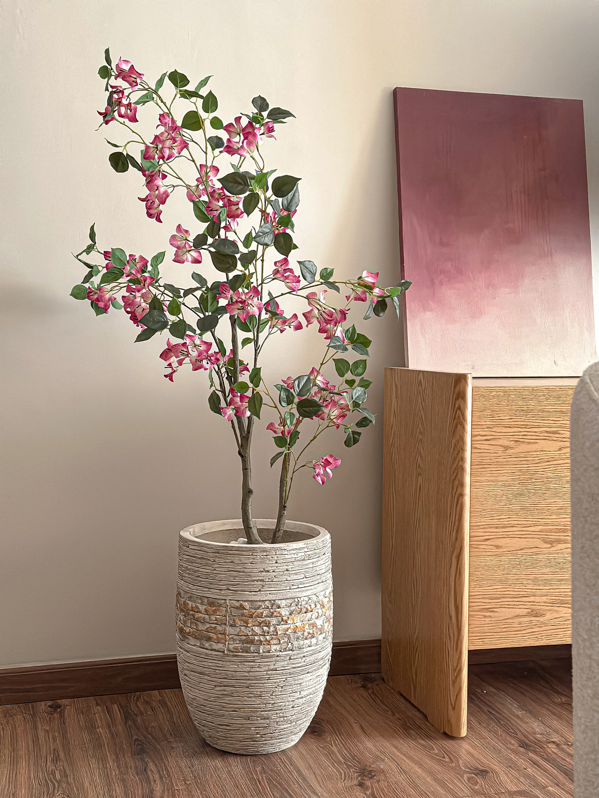 Mini Bougainvillea Tree - pink