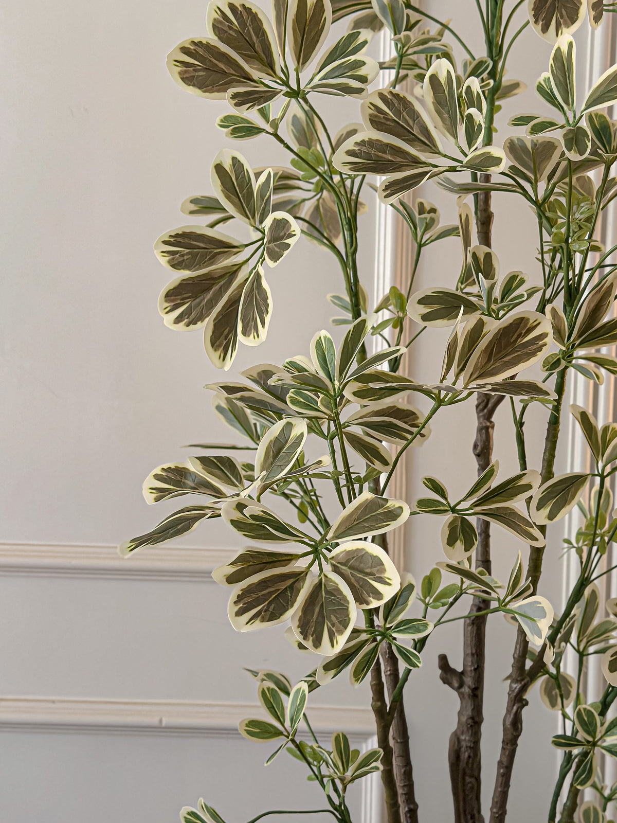 Schefflera Faux Tree