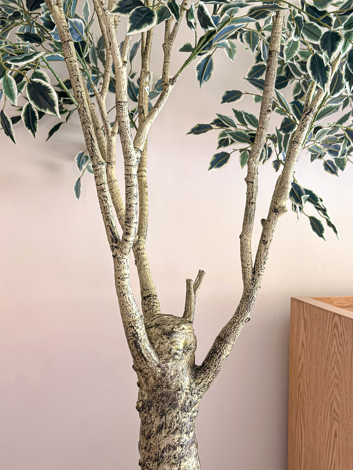 Artificial Variegated Ficus Tree - with pot