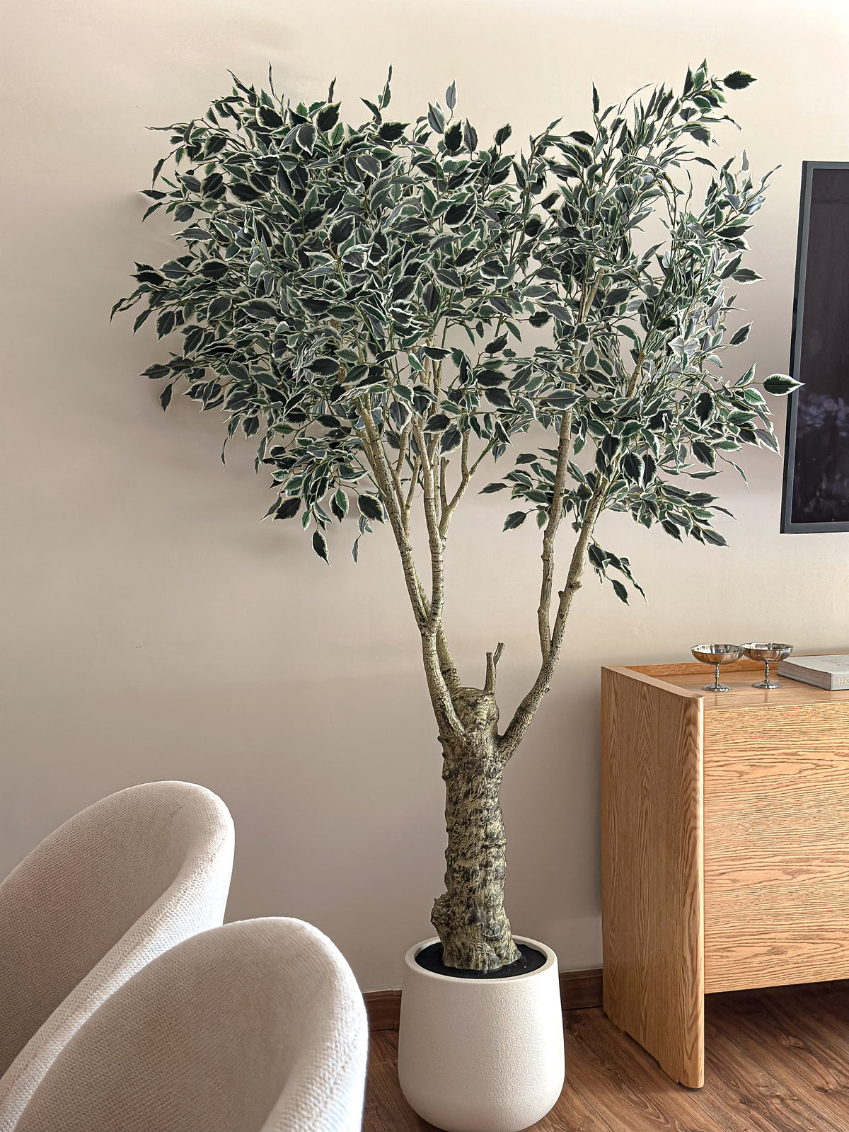 Artificial Variegated Ficus Tree - with pot