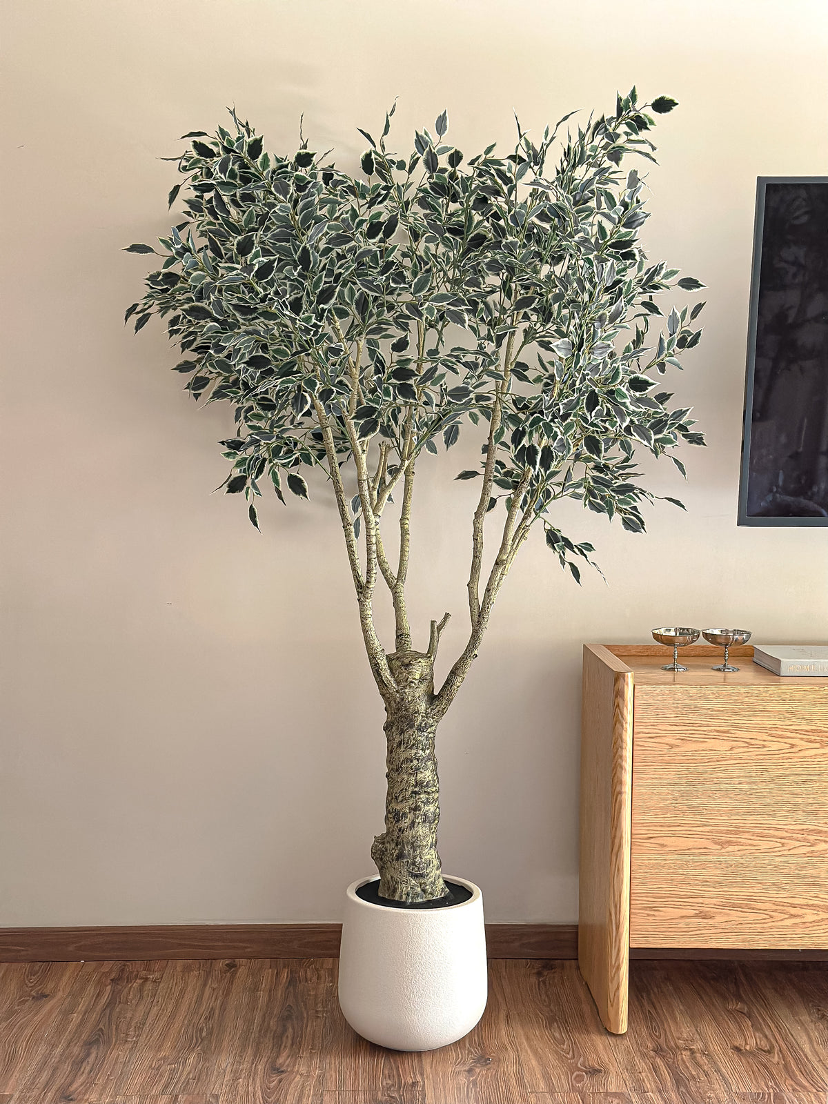 Artificial Variegated Ficus Tree - with pot