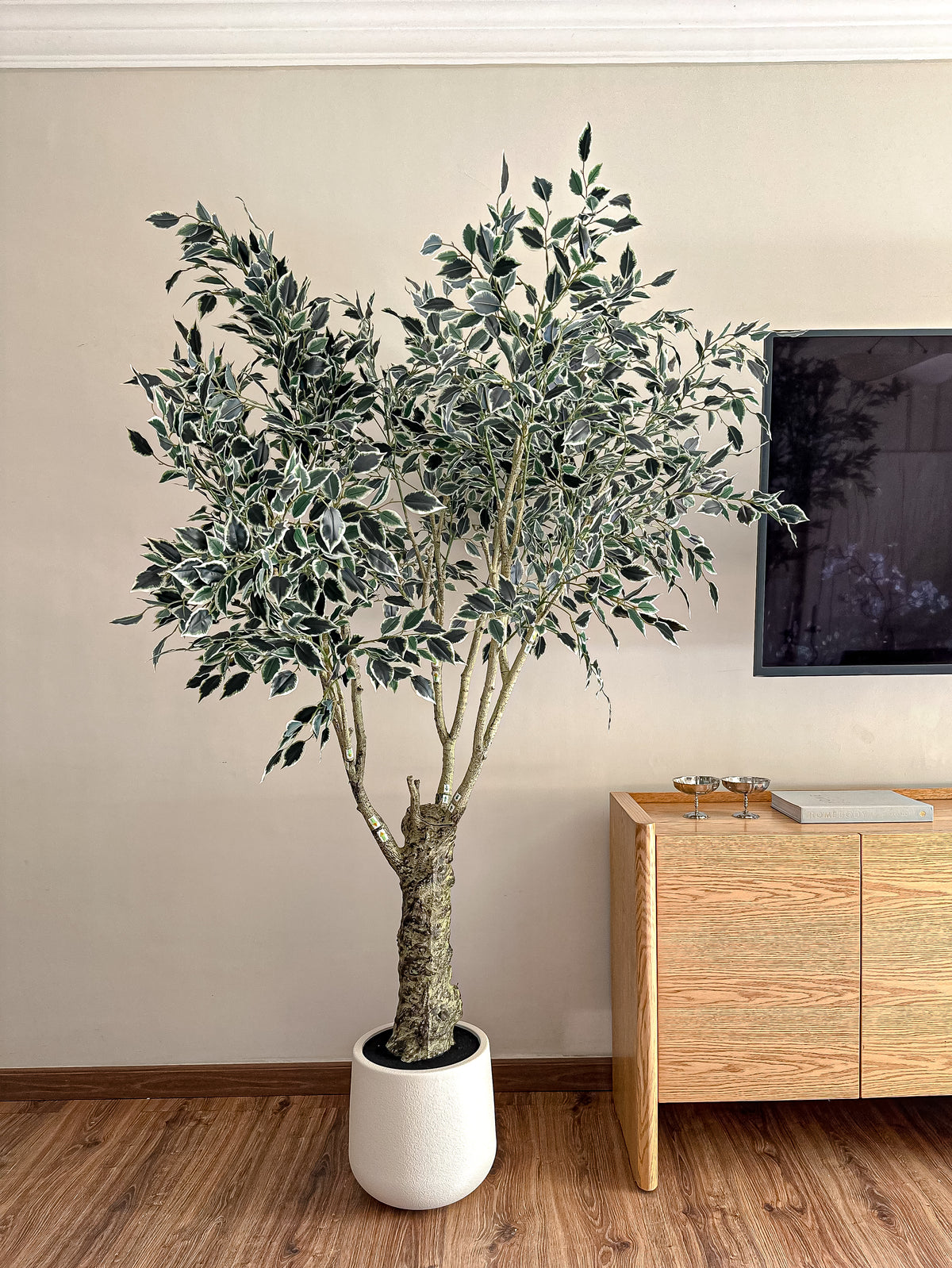 Artificial Variegated Ficus Tree - with pot