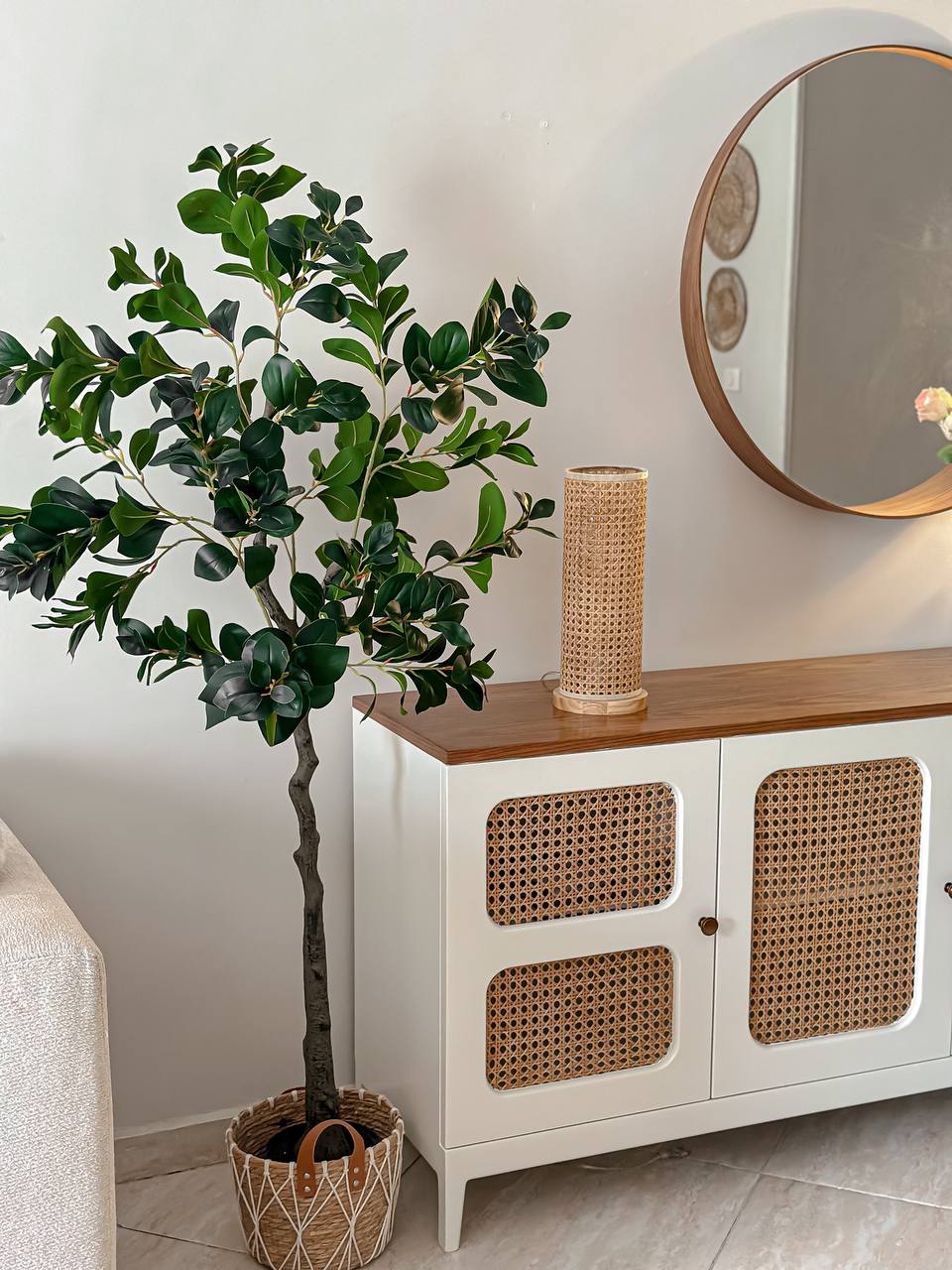 Ficus Tree – 170 cm