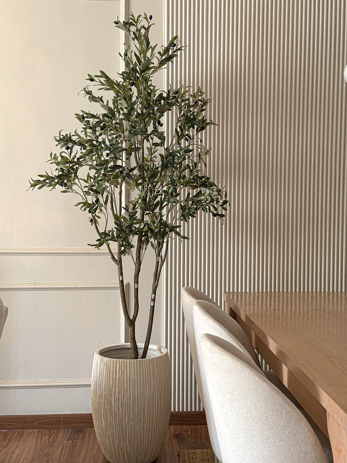 Silver Olive Tree - 3 Stems