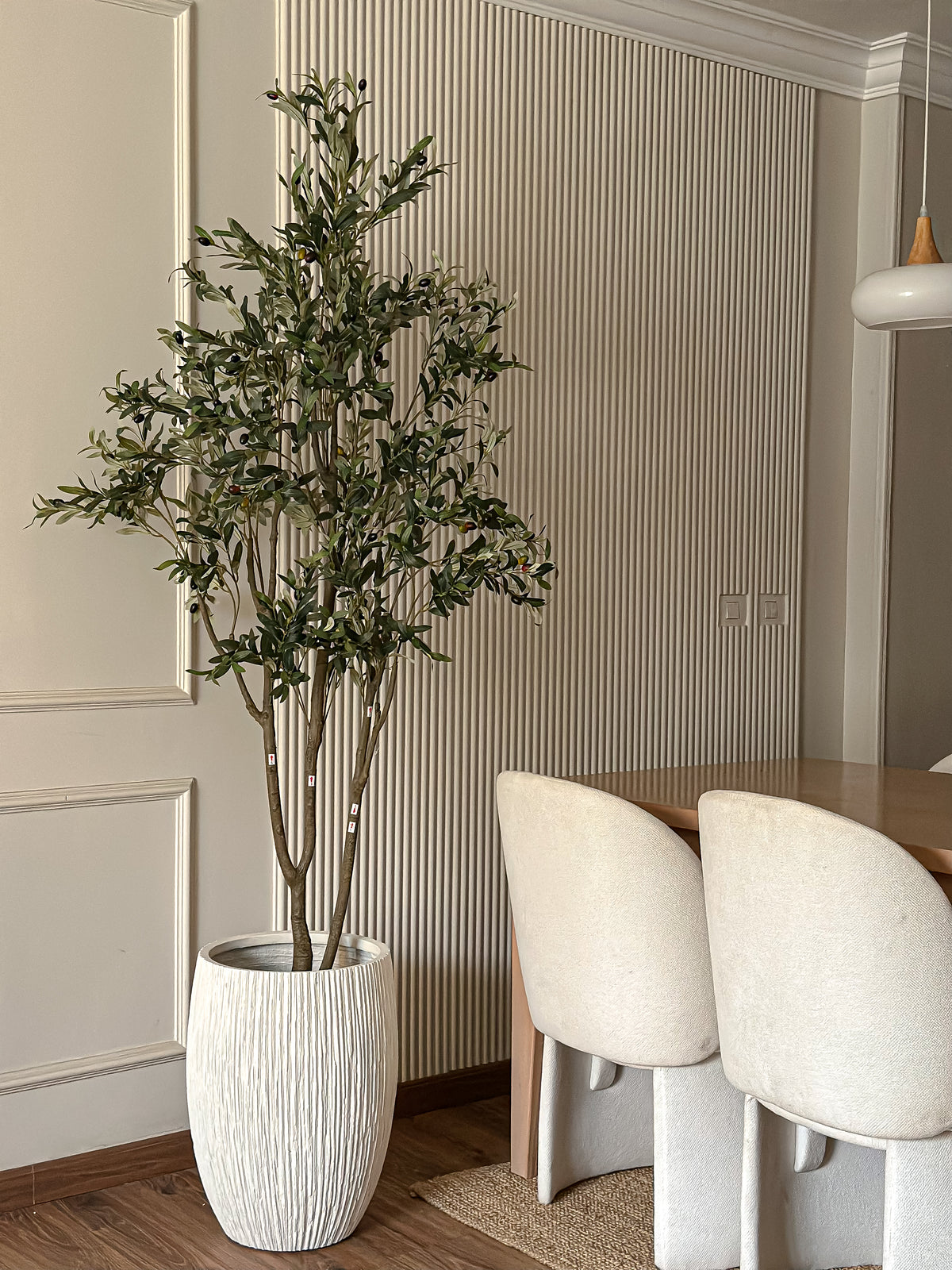 Silver Olive Tree - 3 Stems
