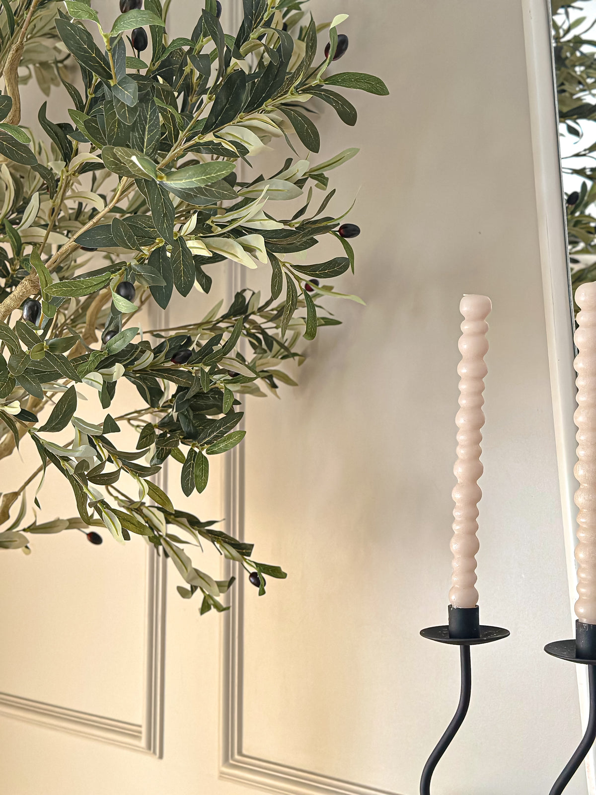 Silver Olive Tree — Double Trunk