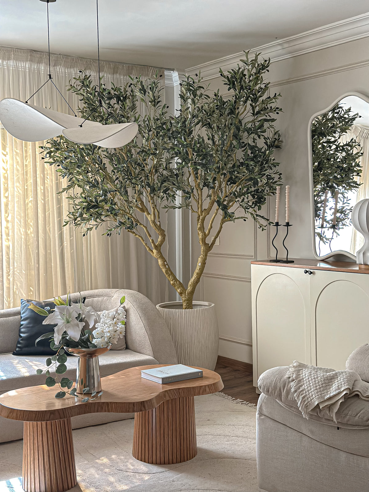 Silver Olive Tree — Double Trunk