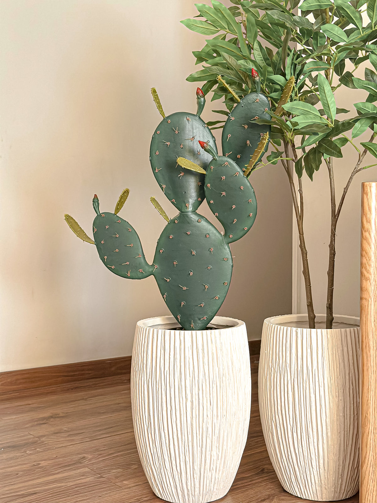 Prickly Pear Cactus