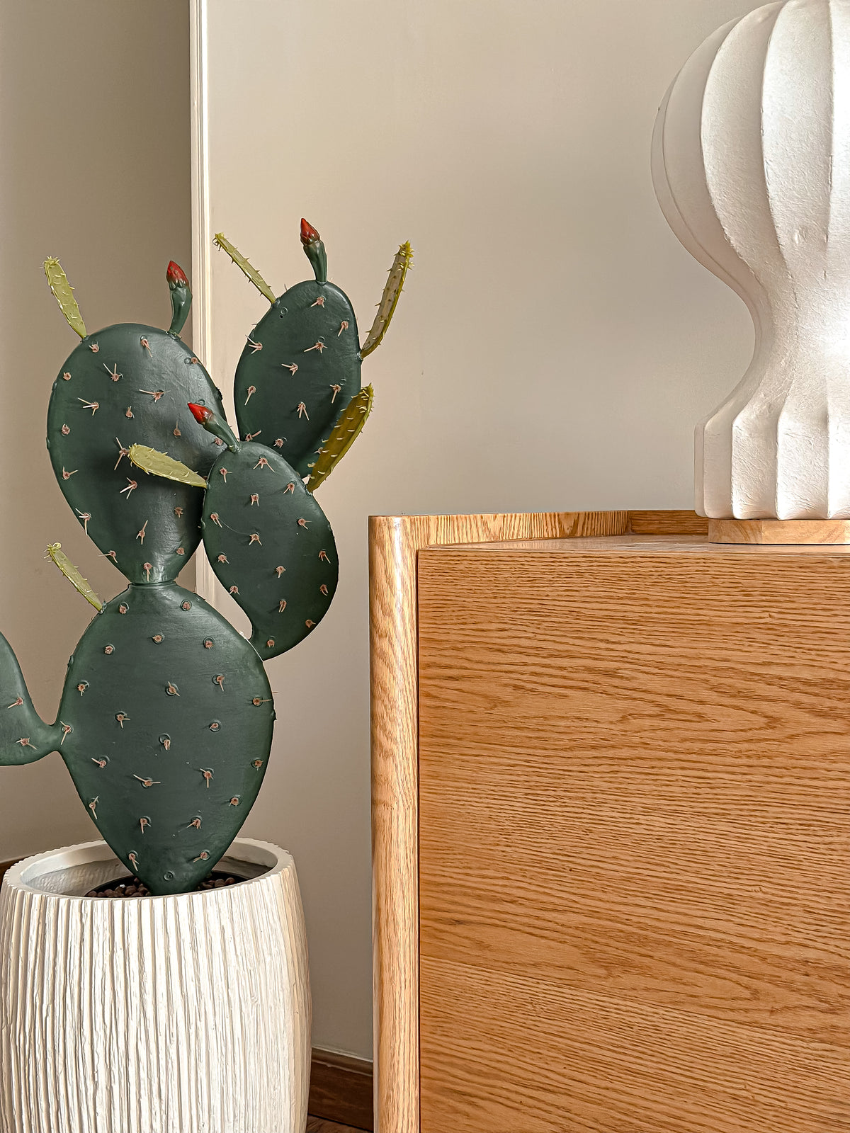Prickly Pear Cactus