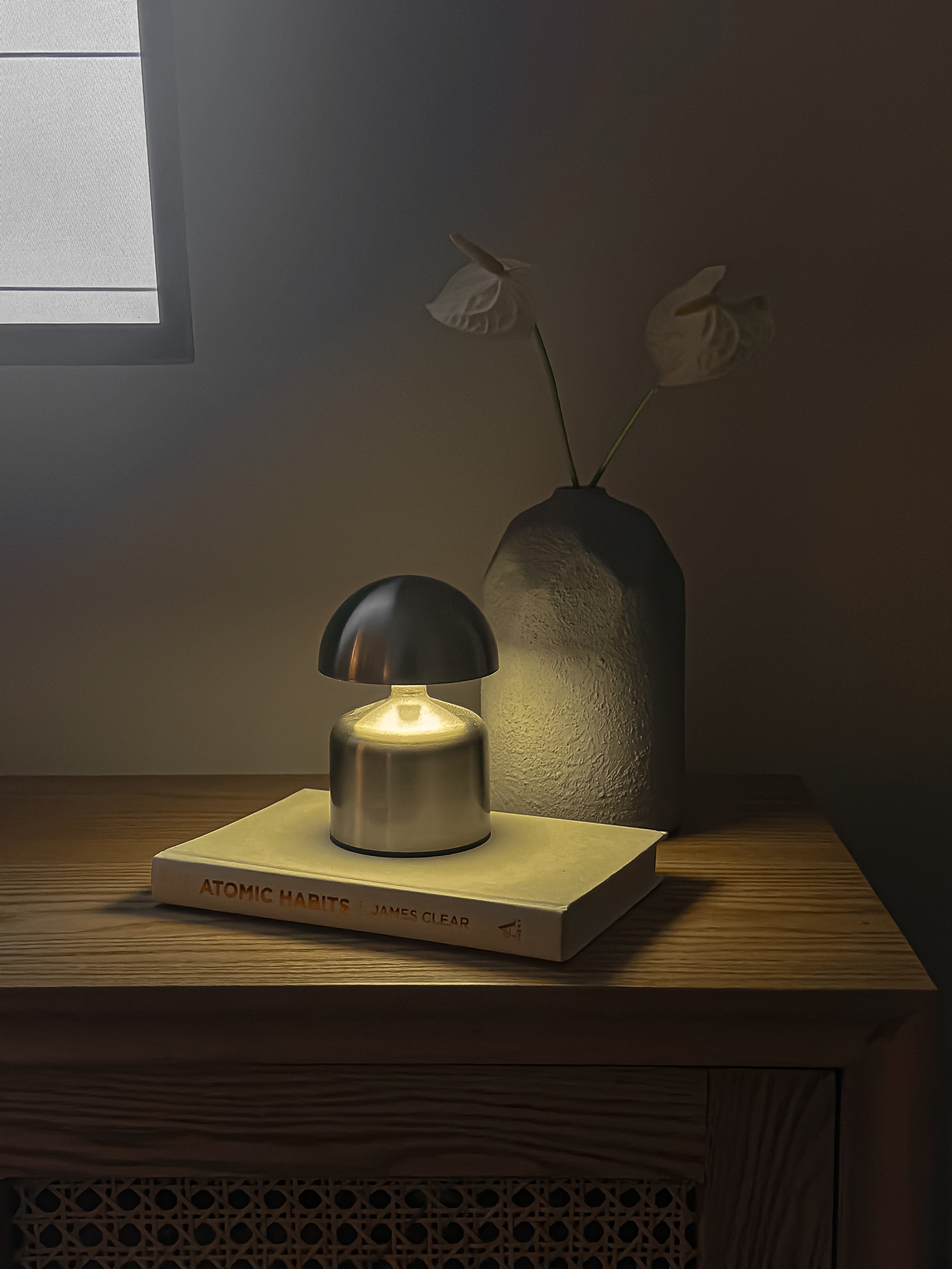 Mini Mushroom Lamp