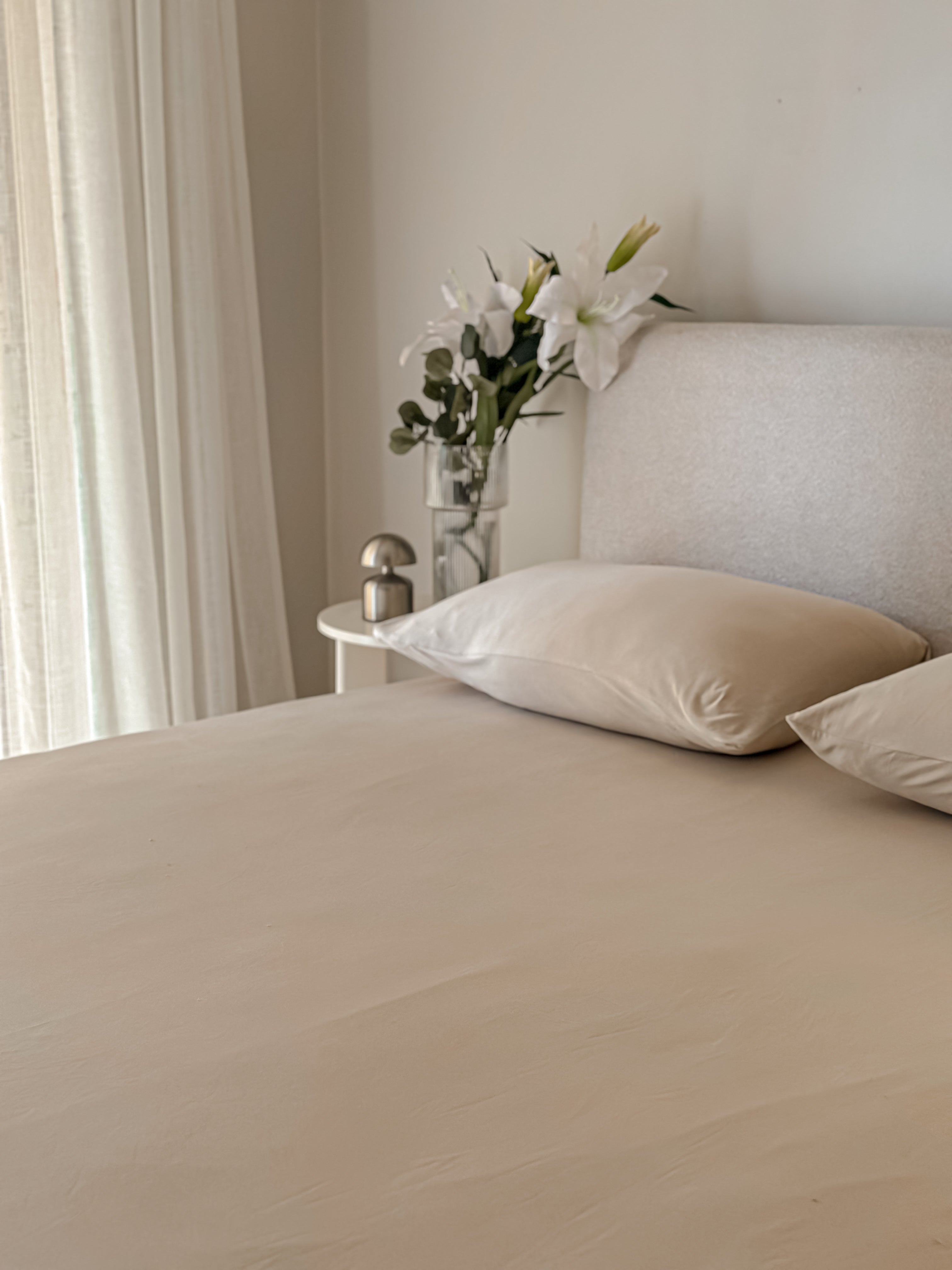 Jersey Cotton Fitted Sheet Set
