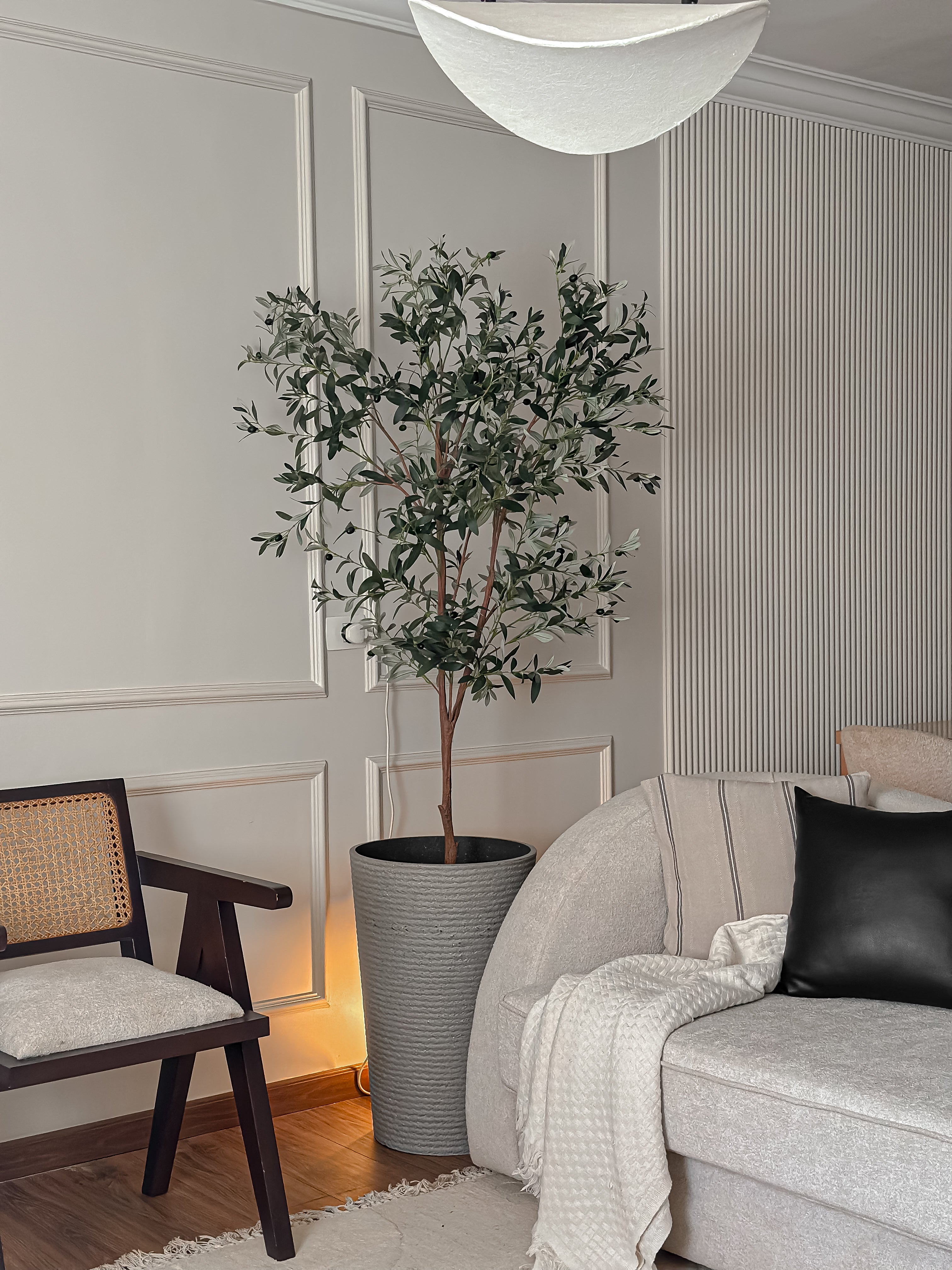 Olive tree one steam