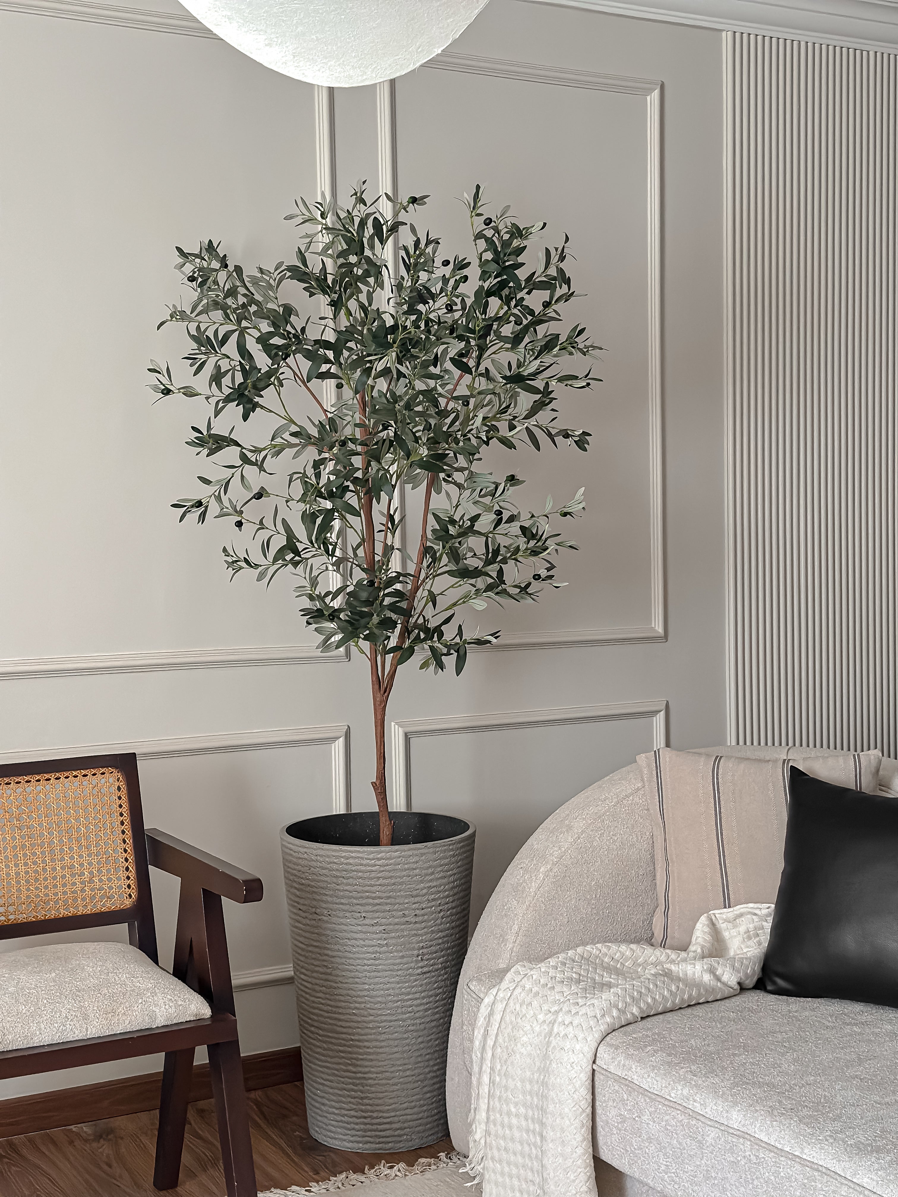 Olive tree one steam