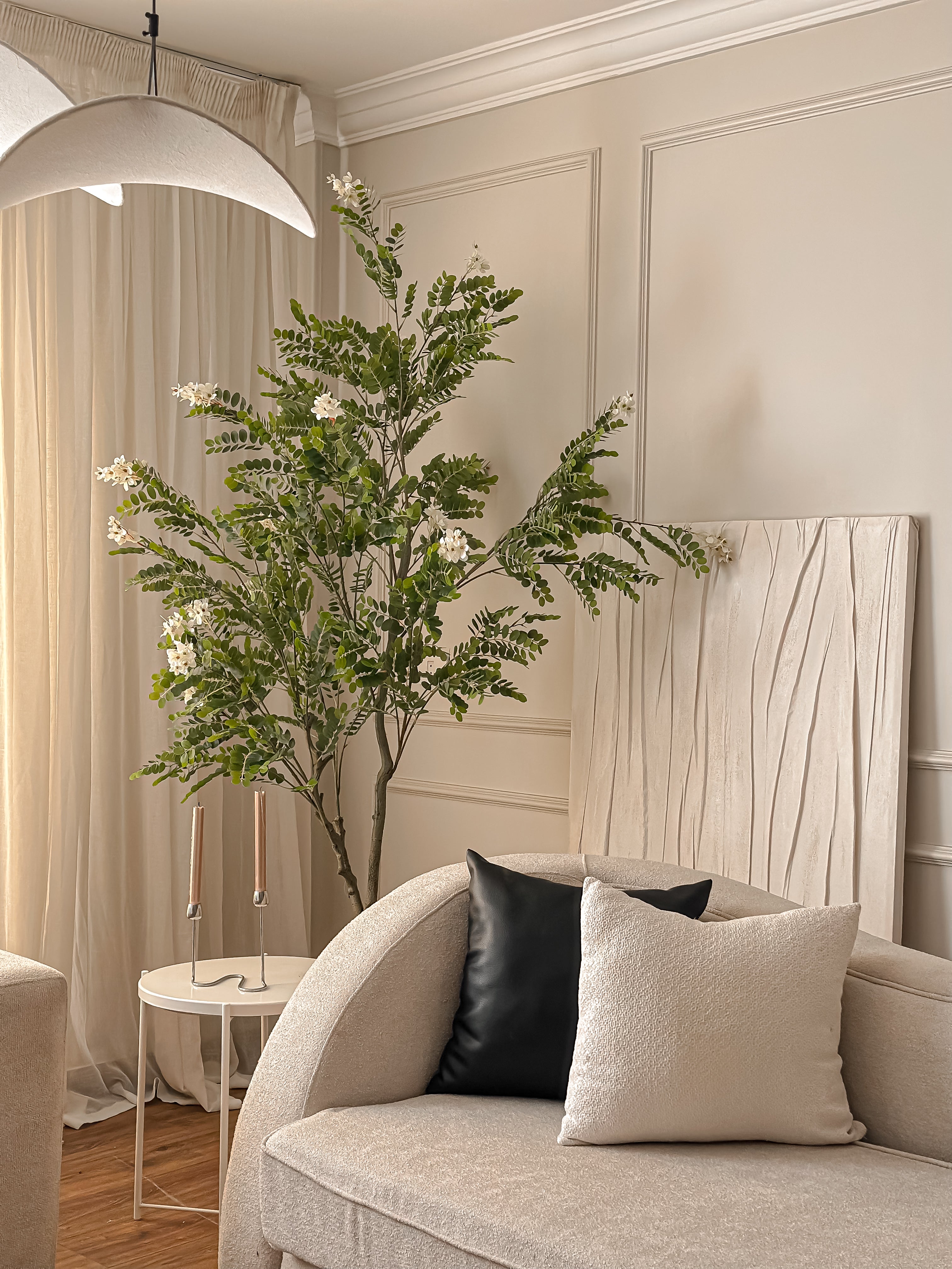 Japanese Pagoda Tree