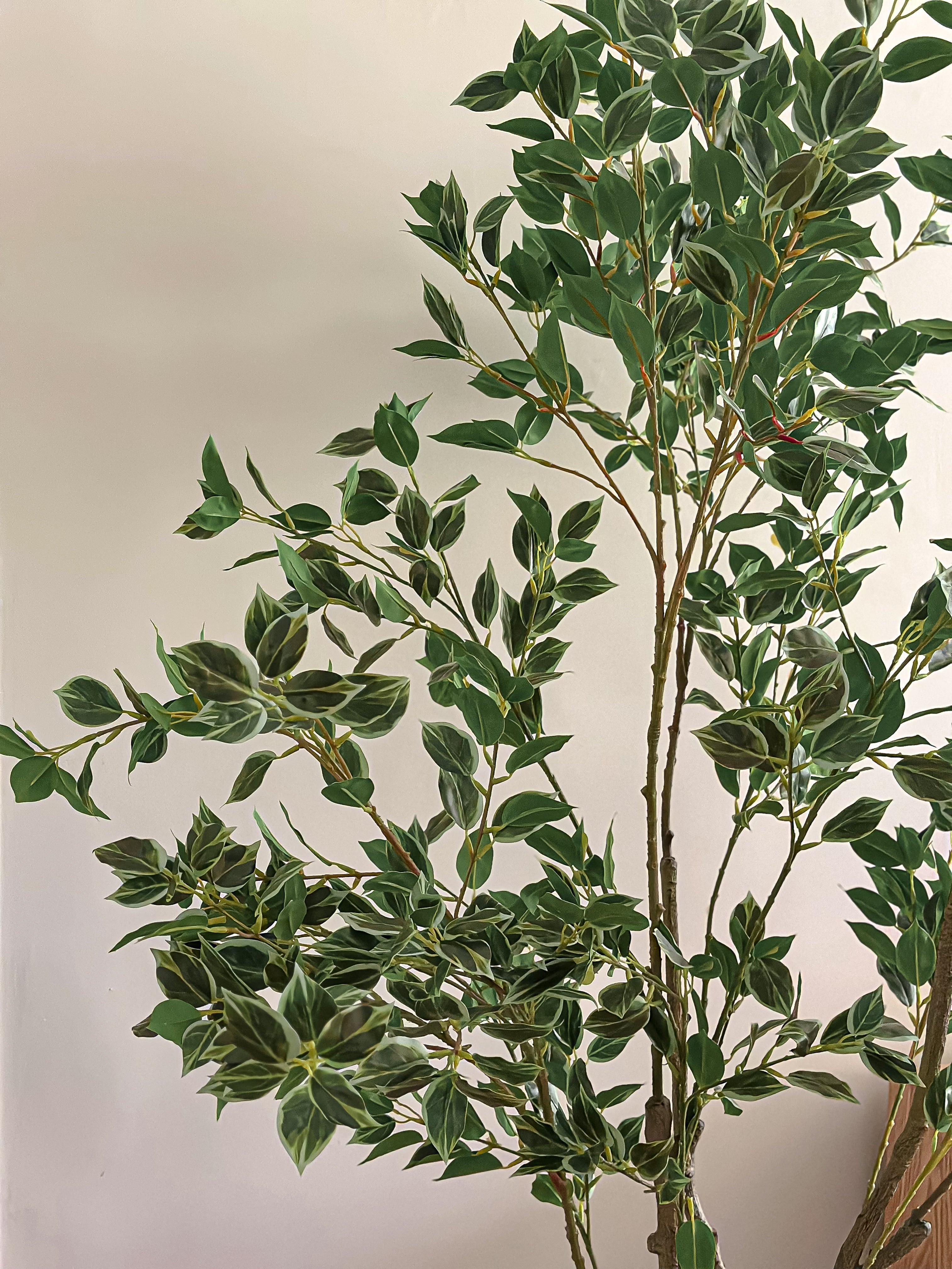 Benjamina faux tree - wide branches