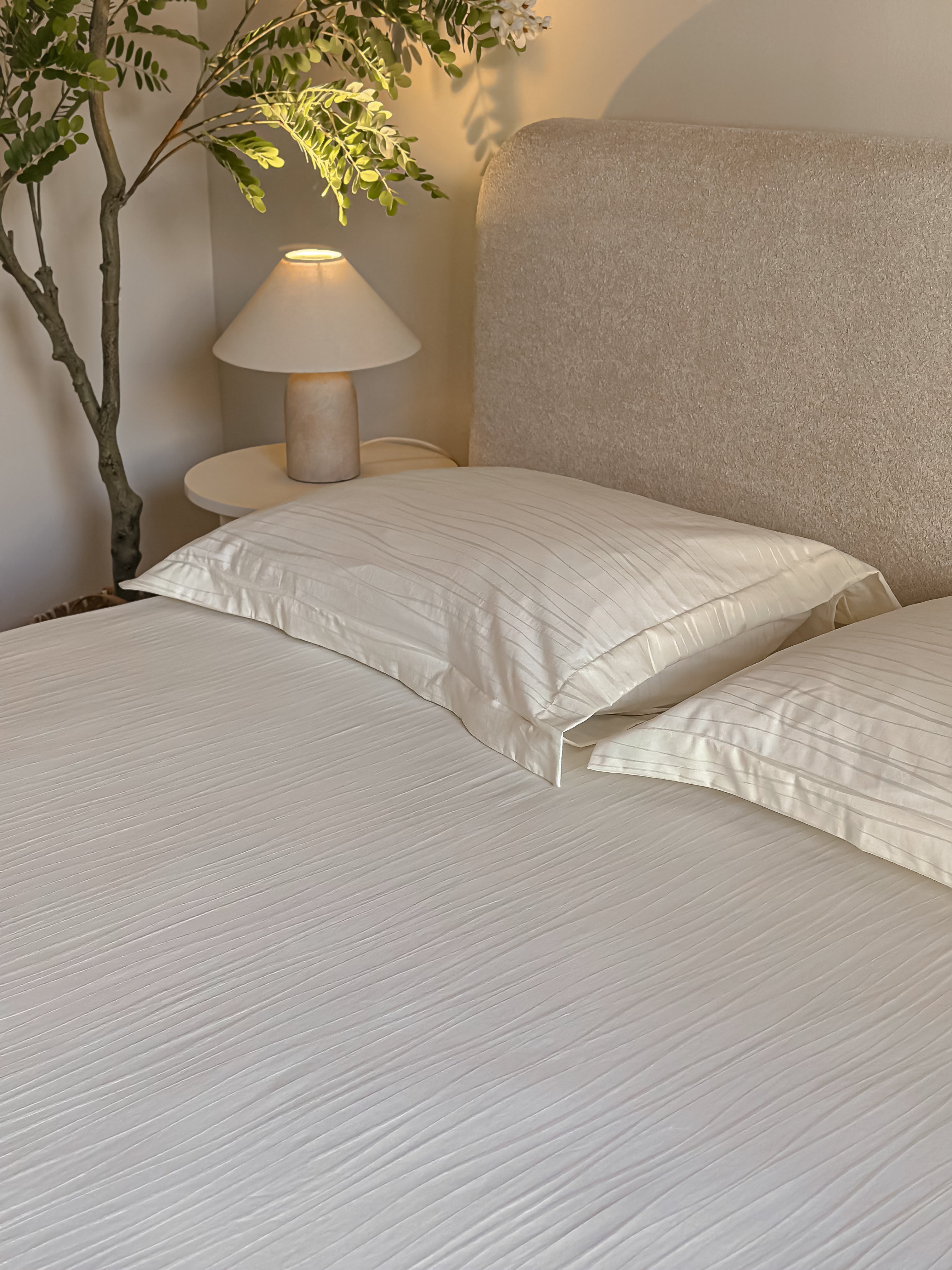 Jacquard cotton Bed sheet set _ waves