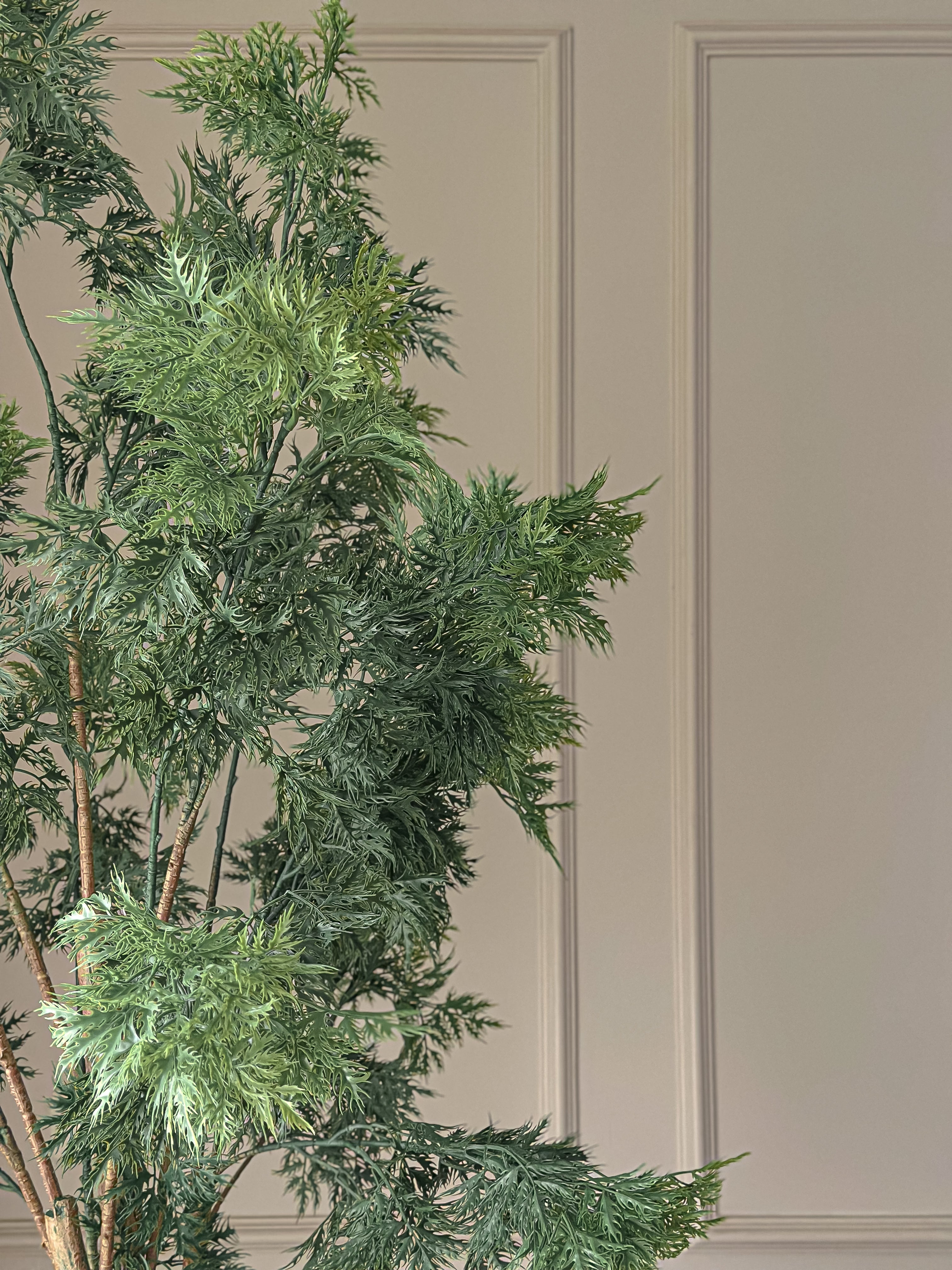 Aralia faux tree