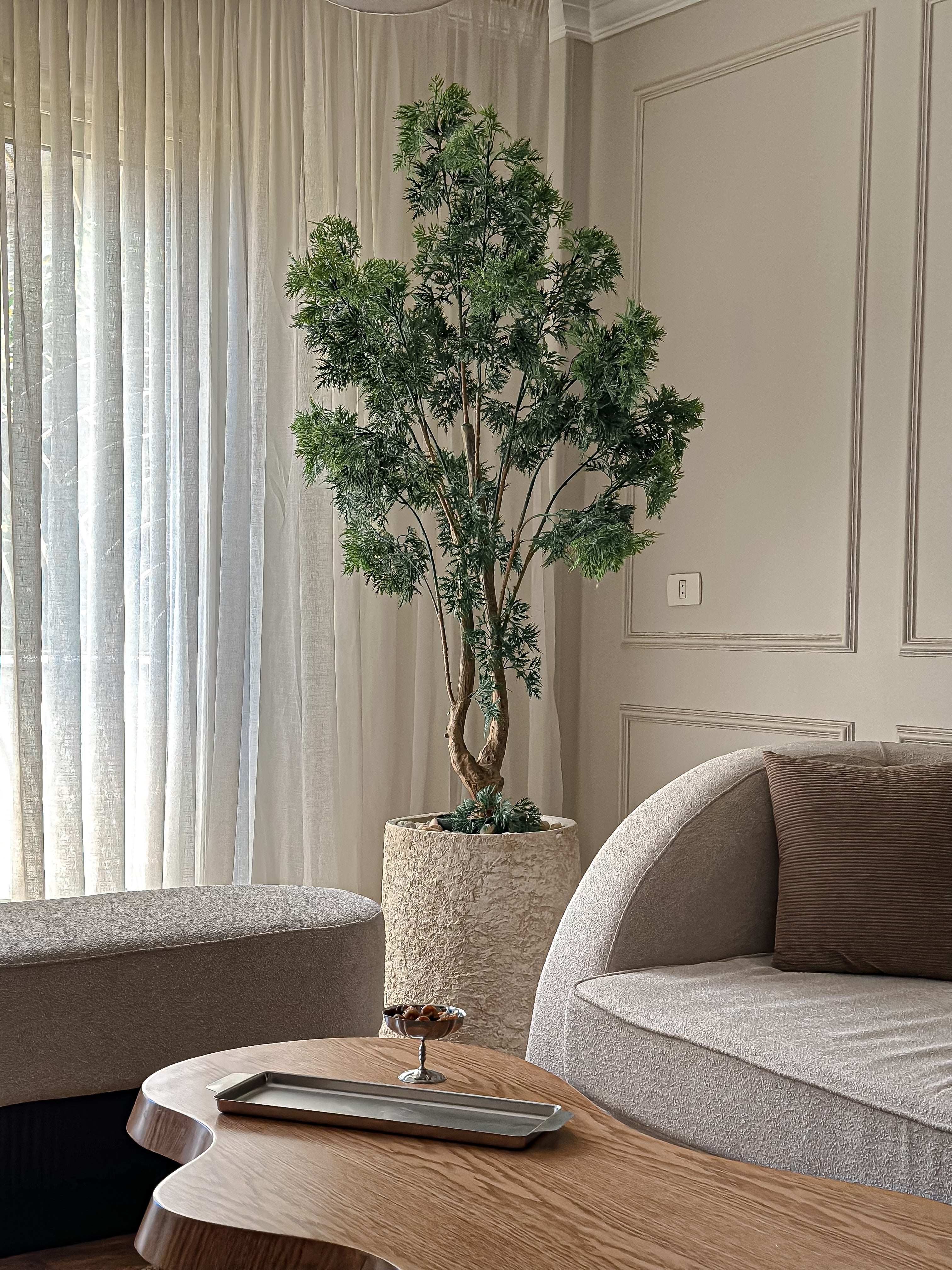 Aralia faux tree
