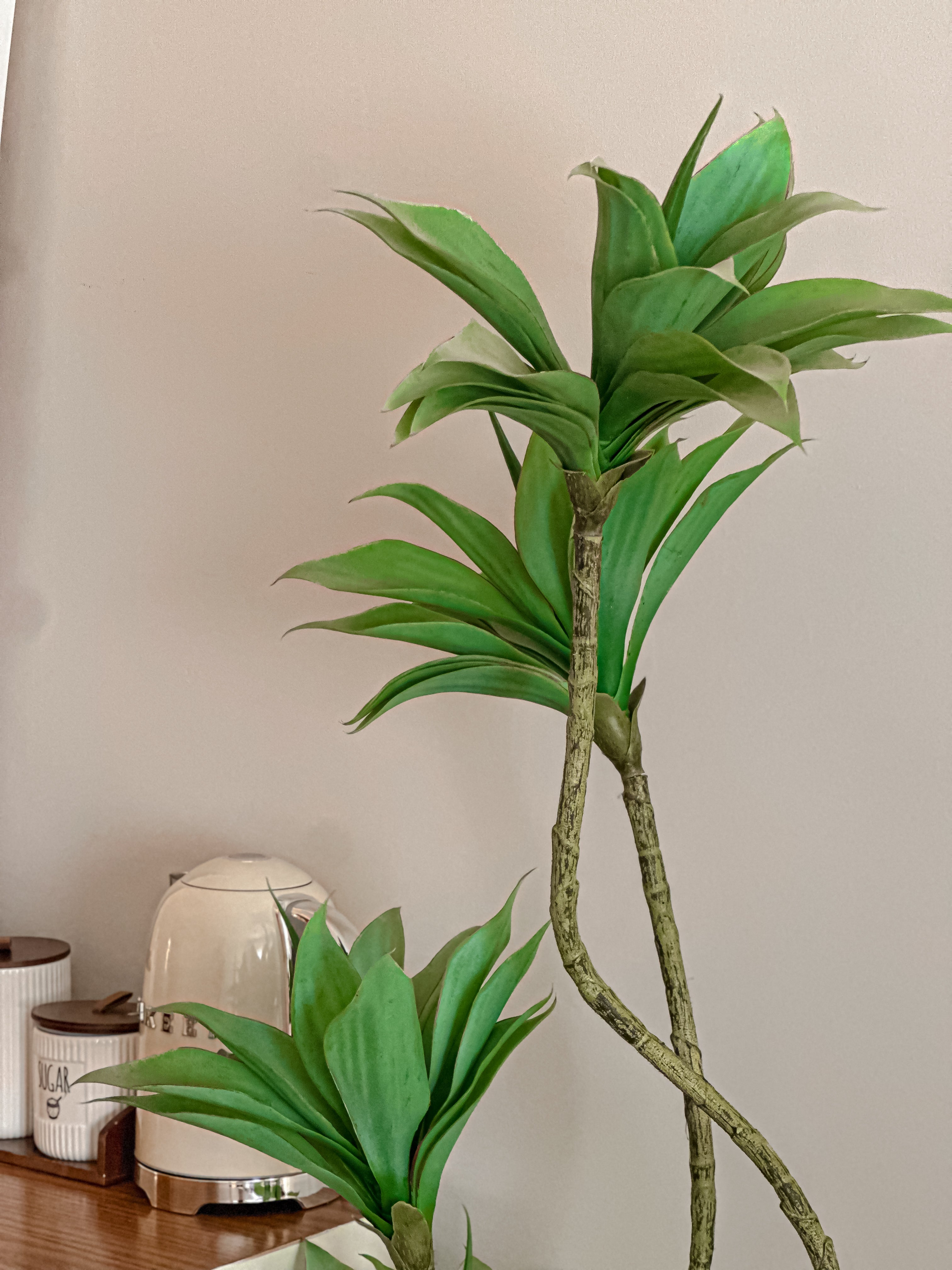 Louts Dracaena faux tree