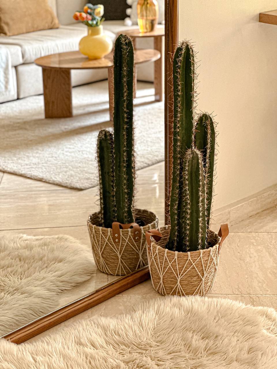 Cactus Faux Plant