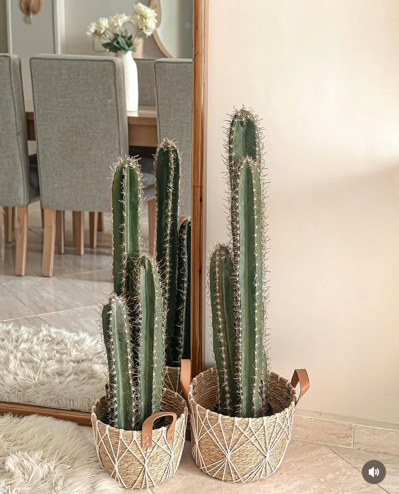 Cactus Faux Plant